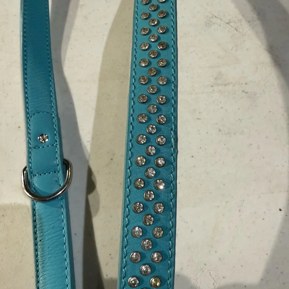 Teal Leather Dog Leash with Rhinestone Accents